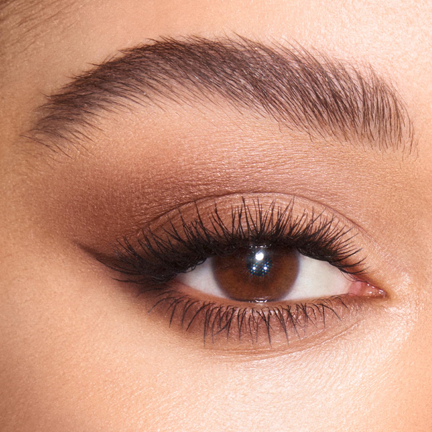 Pillow-Talk Inspired 4-Shade Luxury Eyeshadow Palette