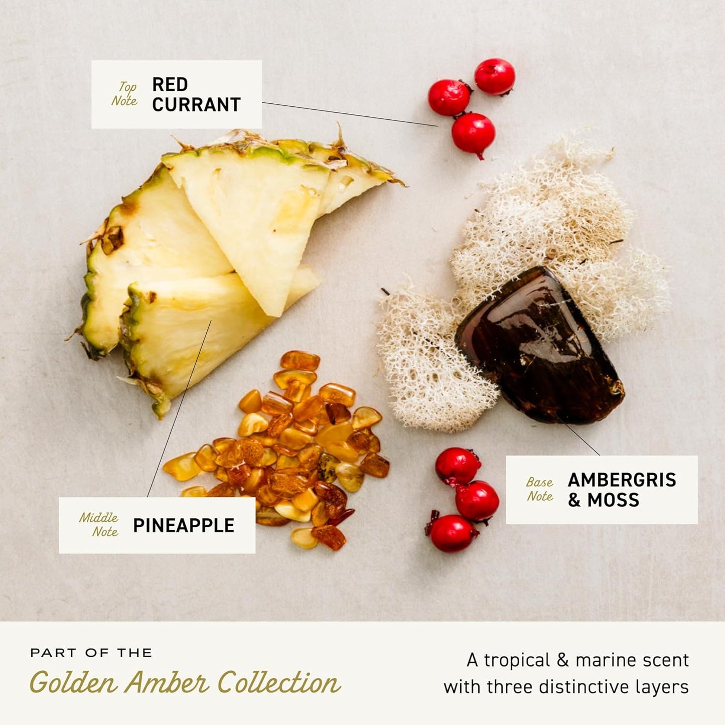 Golden Amber Men's Premium Body Wash